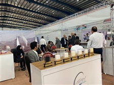 تصاویر اولین نمایشگاه ایرانی سازان